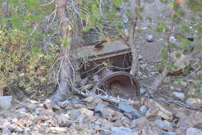 DSC_7849 (Large).JPG